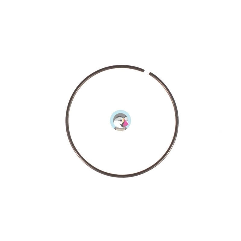 Zabezpieczenie sprężyny koła startera WSK ETZ