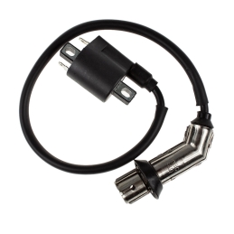 Cewka zapłonowa - Longija...