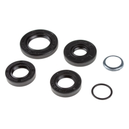 Uszczelniacze silnika -...