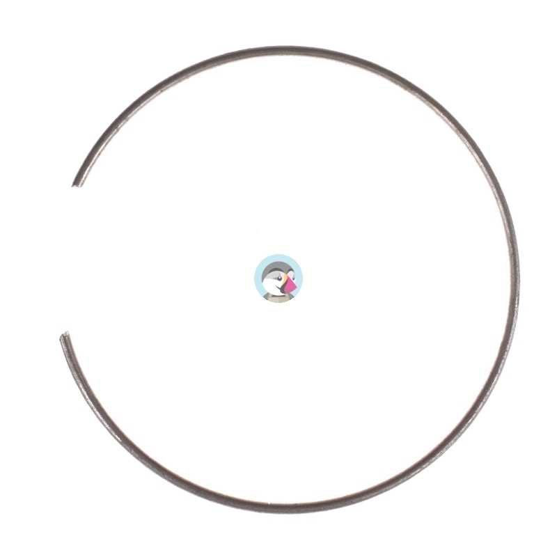 Zabezpieczenie uszczelniacza wału MZ ETZ250 ETZ251