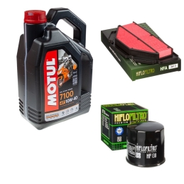 Zestaw filtrów + olej Motul...