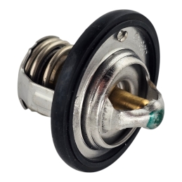 Termostat wody Tourmax -...